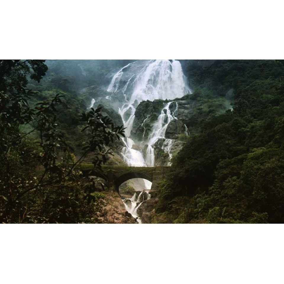 Photo of Goa, India by Radhika Sharma