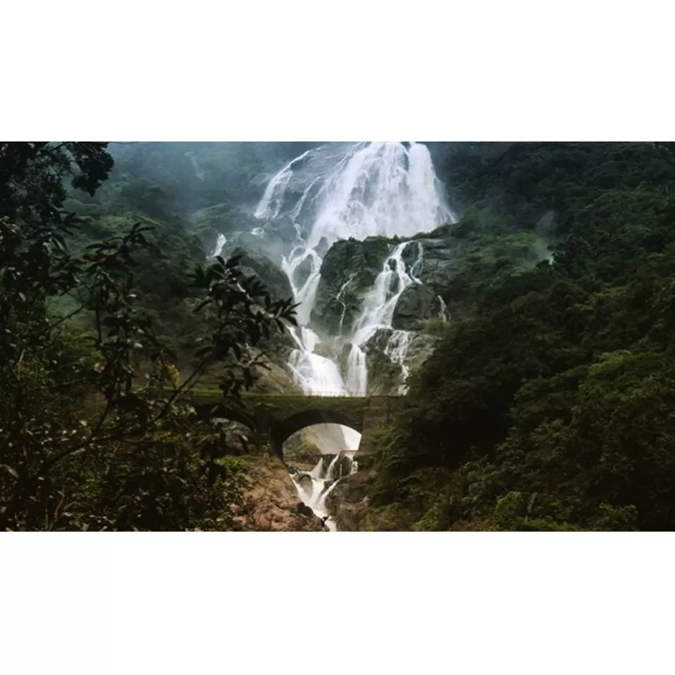Photo of Goa, India by Radhika Sharma