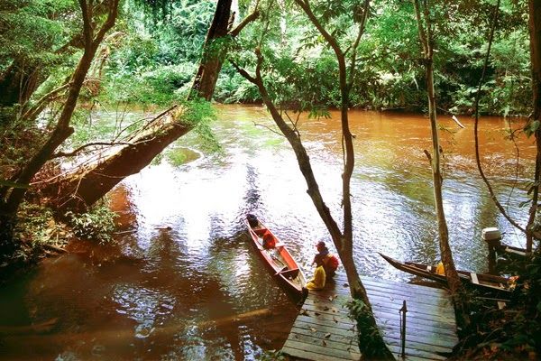 Photo of Taman Negara Pahang Malaysia by Rathina Sankari