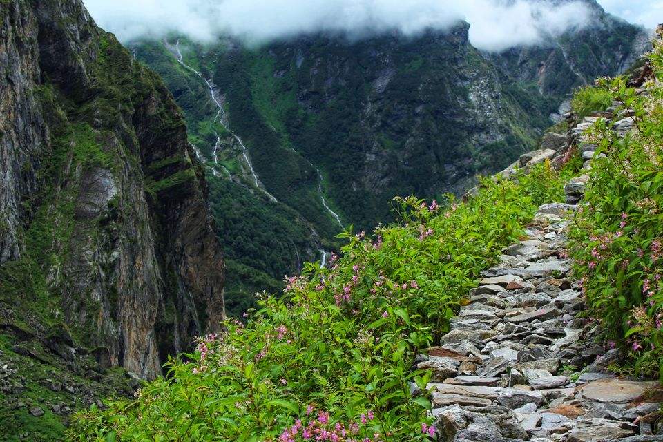 Photo of Chronicles from a Himalayan wonderland!! by wanderingbudha