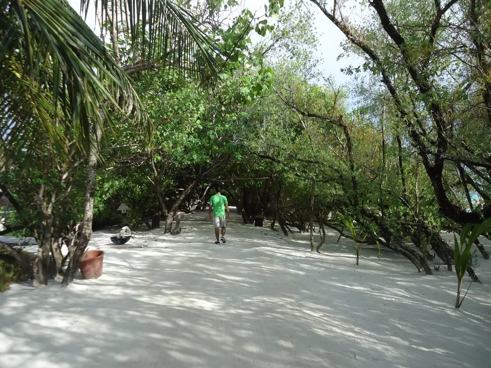 Photo of Taj Exotica Resort & Spa, Kaafu Atoll, North Central Province, Maldives by fazal urfi