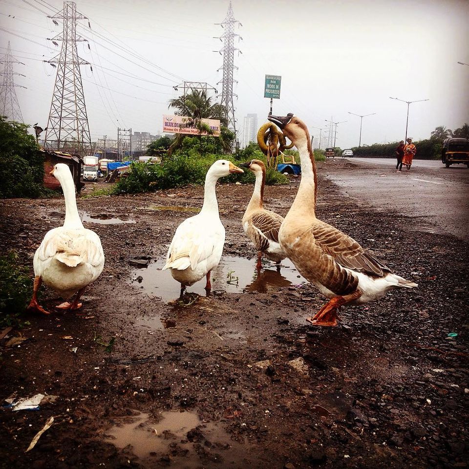 Photo of Cycling from Mumbai to Lonavala. 8/45 by Munavver Malik