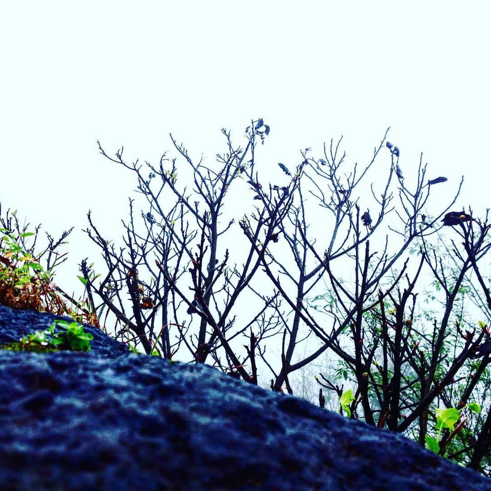 Photo of Cycling from Mumbai to Lonavala. 31/45 by Munavver Malik