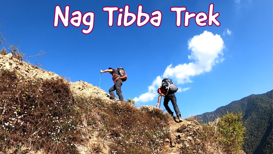 Photo of Nag Tibba Trek by Munavver Malik