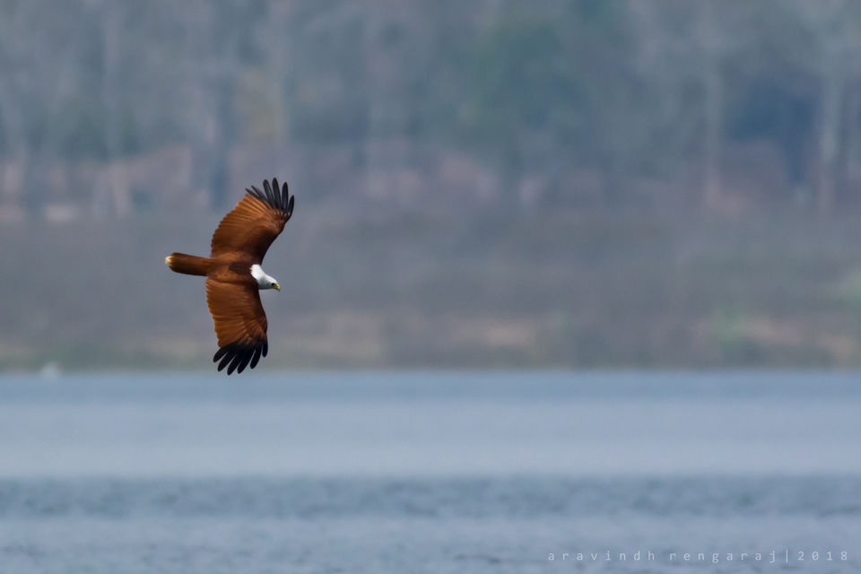 Photo of Taraka Reservoir, Karnataka by Aravindh Rengaraj