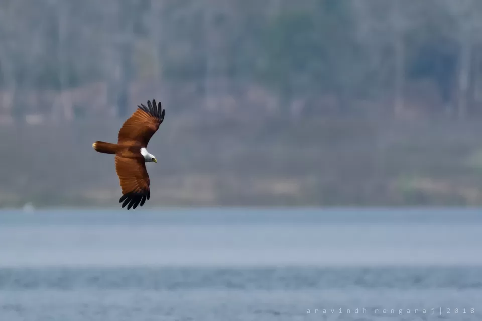 Photo of Taraka Reservoir, Karnataka by Aravindh Rengaraj
