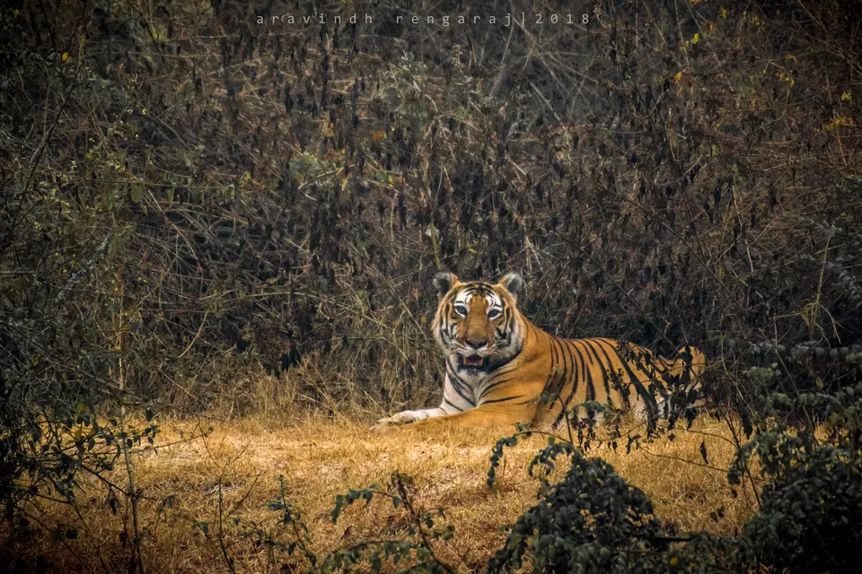 Photo of Kabini by Aravindh Rengaraj