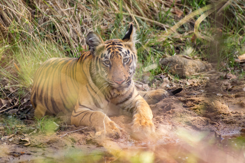 Photo of Chandrapur, Maharashtra, India by Aravindh Rengaraj