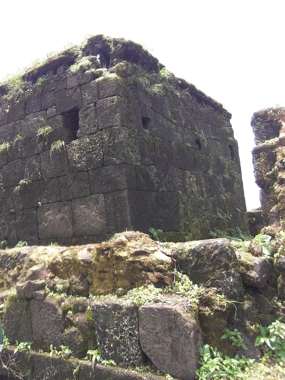 Photo of Trek to Visapur Fort by Gunjan Deshmukh