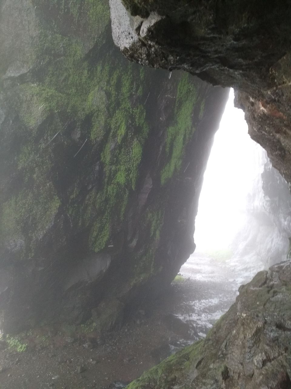Photo of Ghangad Fort - A monsoon bliss by Gunjan Deshmukh
