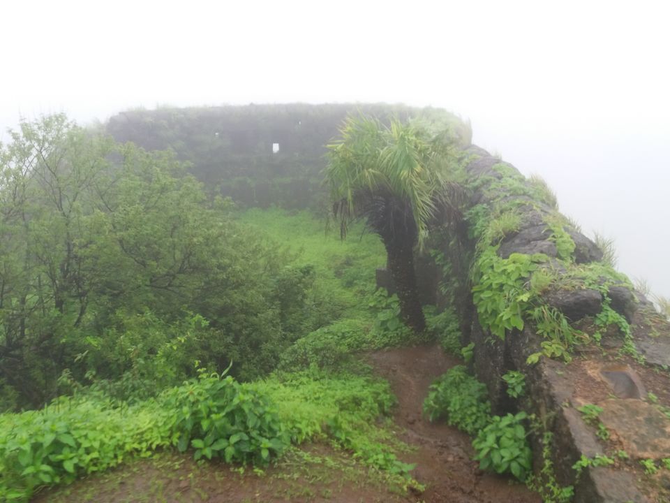 Photo of Ghangad Fort - A monsoon bliss by Gunjan Deshmukh