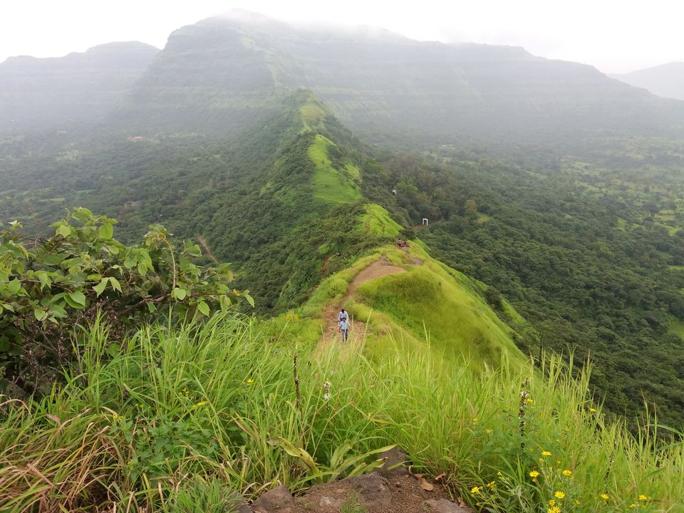 Photo of Tikona fort & Serene Gurudwara by Gunjan Deshmukh