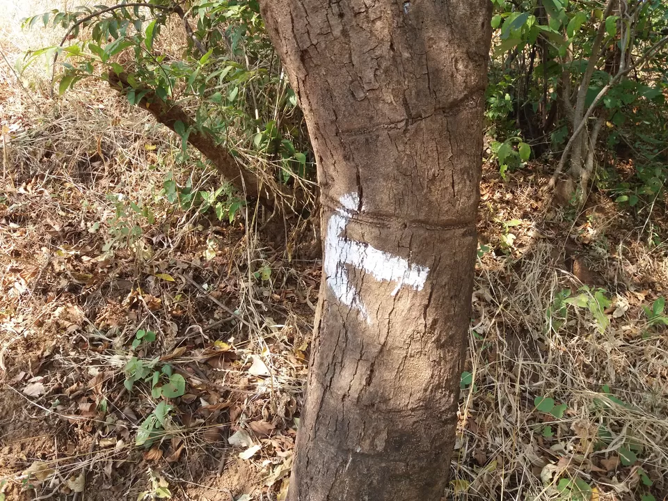 Photo of Prabalmachi, Maharashtra, India by Gunjan Deshmukh