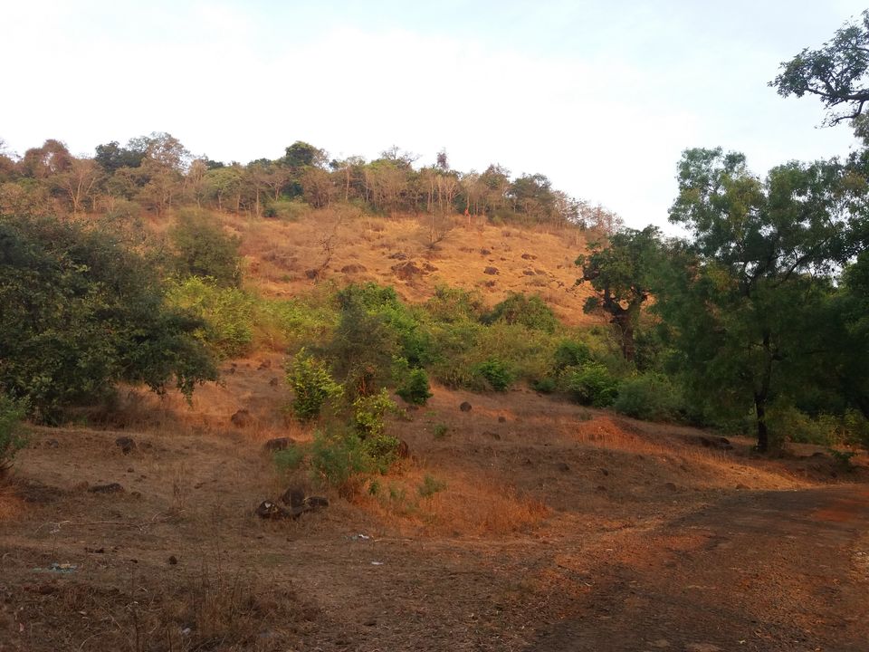Photo of Madgad Fort and Diveagar Beach 5/29 by Gunjan Deshmukh