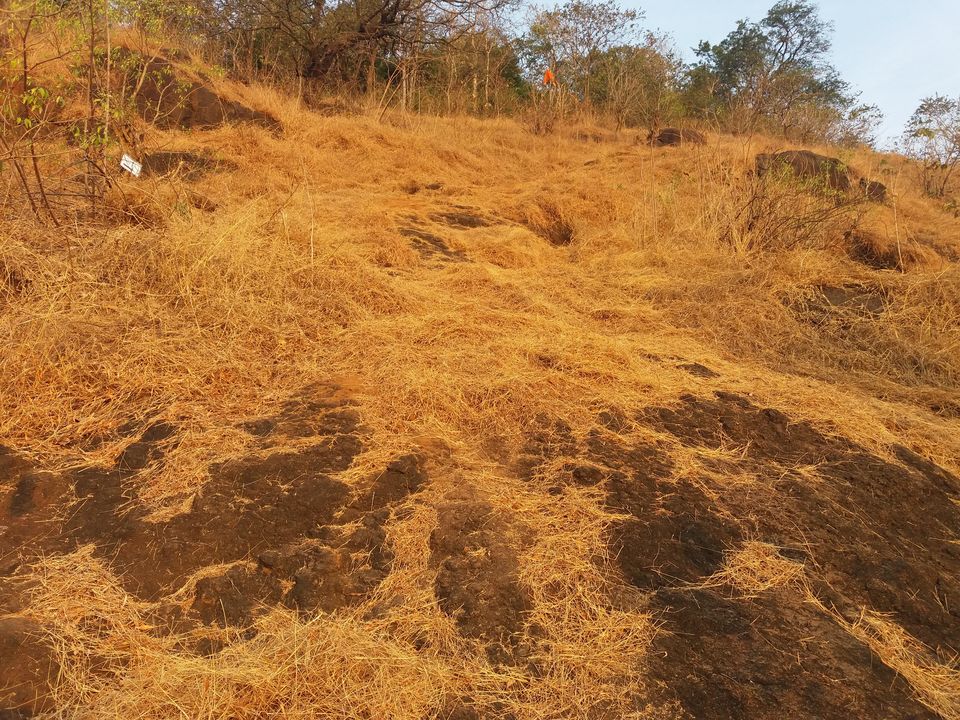Photo of Madgad Fort and Diveagar Beach 6/29 by Gunjan Deshmukh