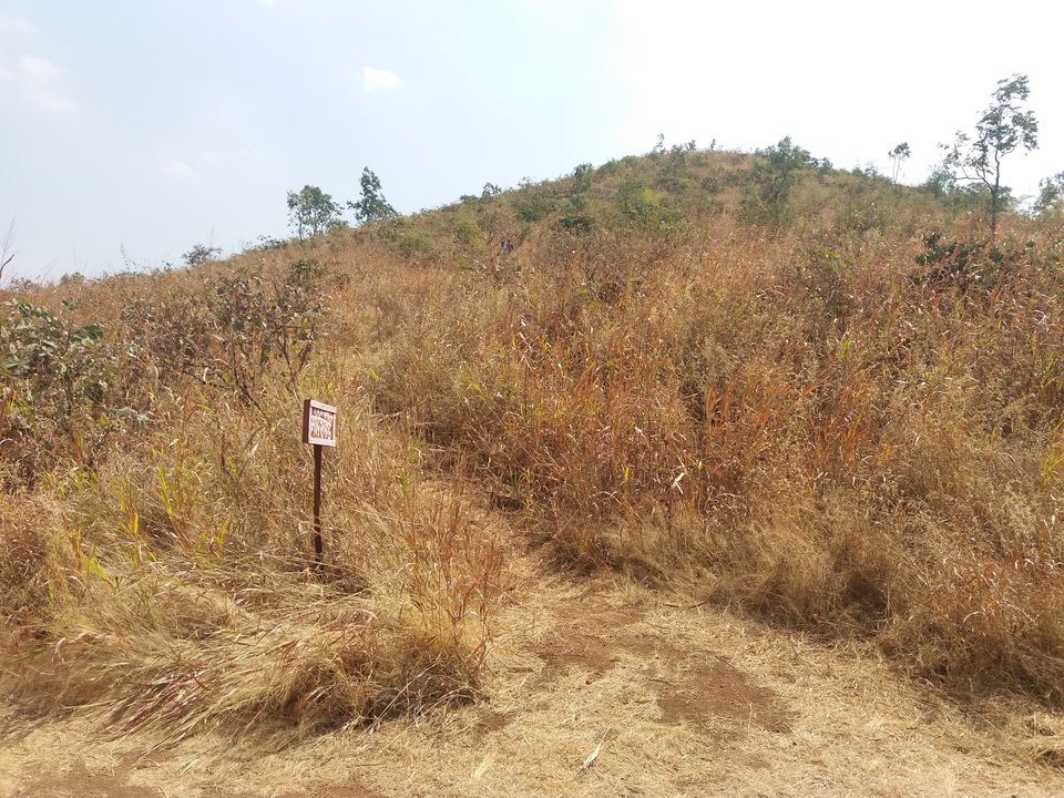 Photo of Chavand Fort and an Ancient Temple by Gunjan Deshmukh