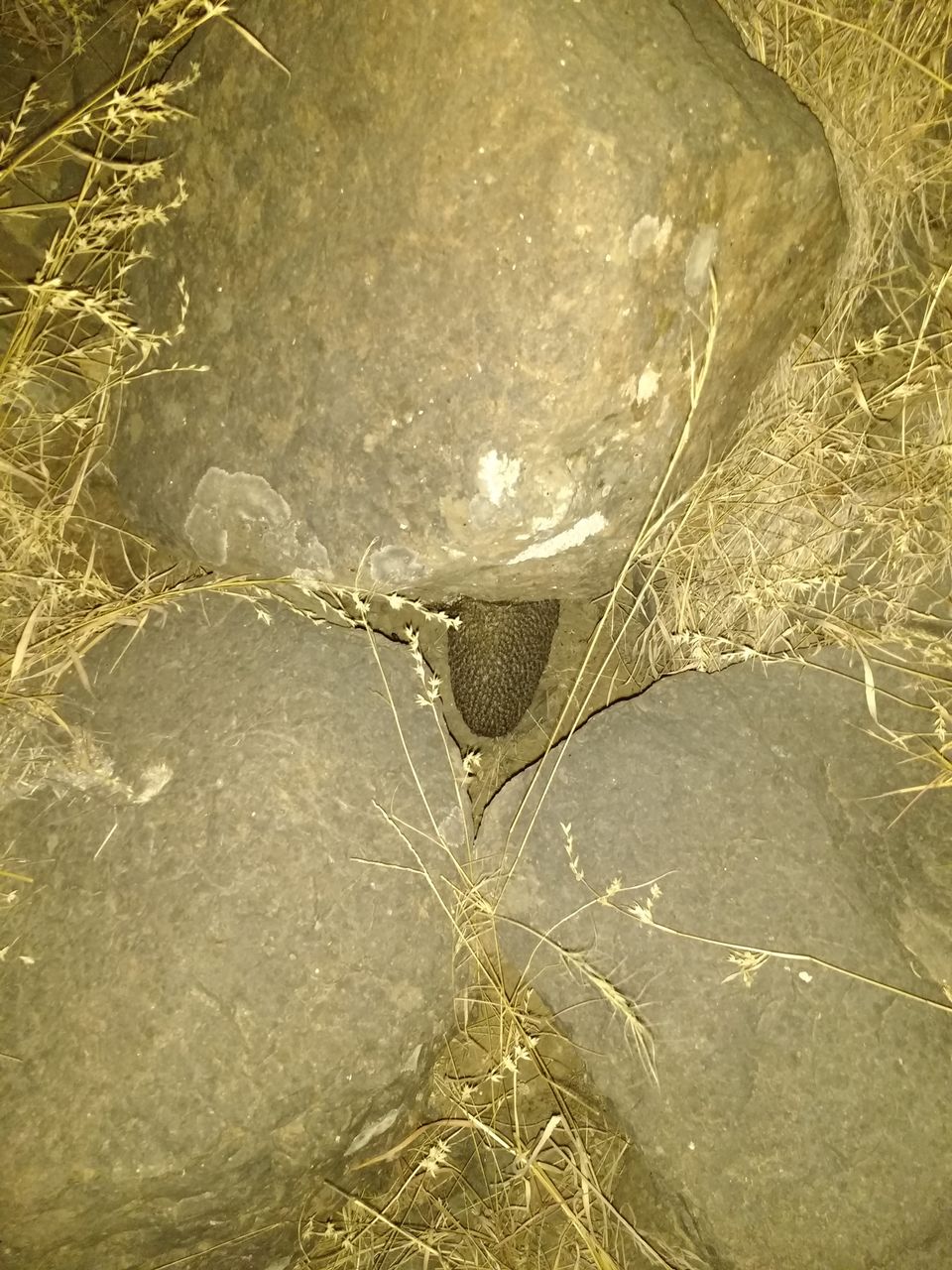 Photo of Vardhangad Fort - A midnight trek in Full Moon 3/15 by Gunjan Deshmukh