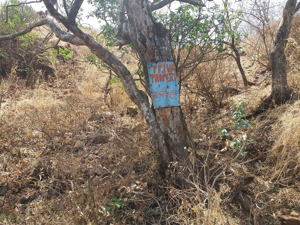 Photo of Pandavgad - A privately owned fort 1/22 by Gunjan Deshmukh