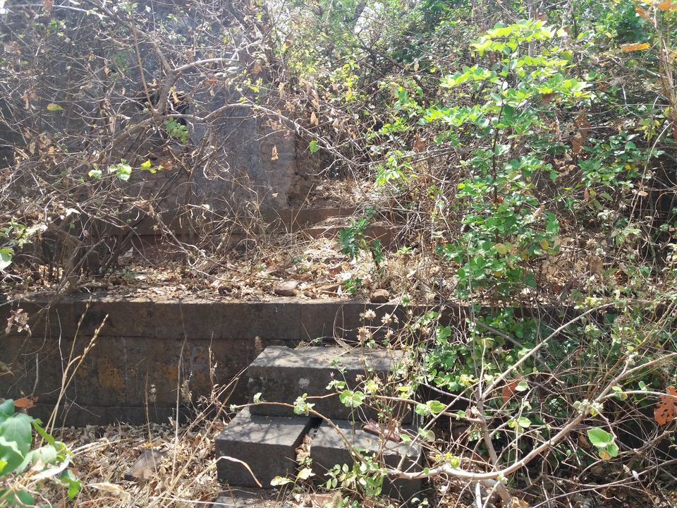 Photo of Pandavgad - A privately owned fort 10/22 by Gunjan Deshmukh