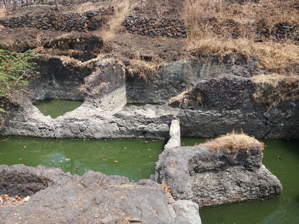 Photo of Pandavgad - A privately owned fort 12/22 by Gunjan Deshmukh