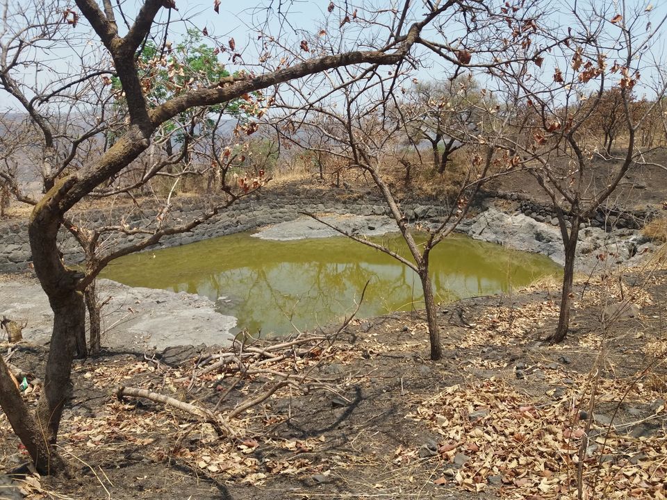 Photo of Pandavgad - A privately owned fort 13/22 by Gunjan Deshmukh