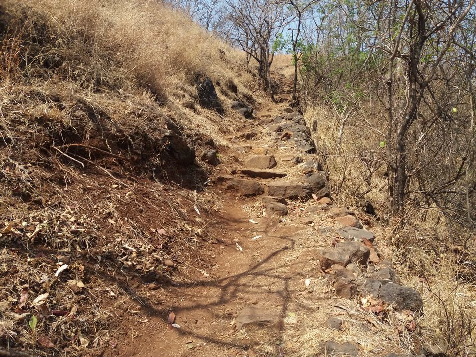 Photo of Pandavgad - A privately owned fort 14/22 by Gunjan Deshmukh