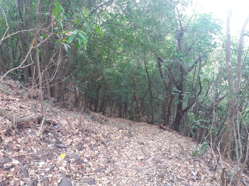 Photo of Kurdugad Fort – A cave that can accomodate entire village 6/25 by Gunjan Deshmukh