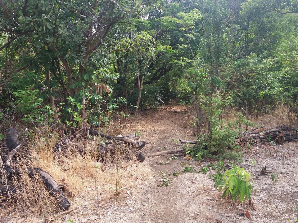 Photo of Kurdugad Fort – A cave that can accomodate entire village 7/25 by Gunjan Deshmukh