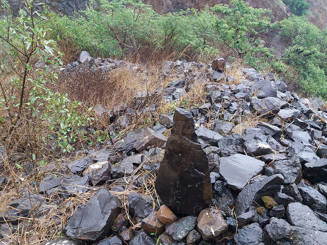 Photo of Morgiri - The lost Fort near Lonavala, Pune 4/10 by Gunjan Deshmukh