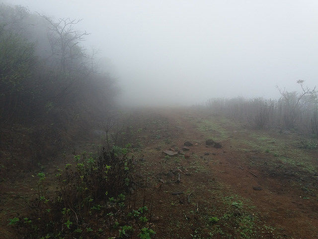 Photo of Morgiri - The lost Fort near Lonavala, Pune 5/10 by Gunjan Deshmukh