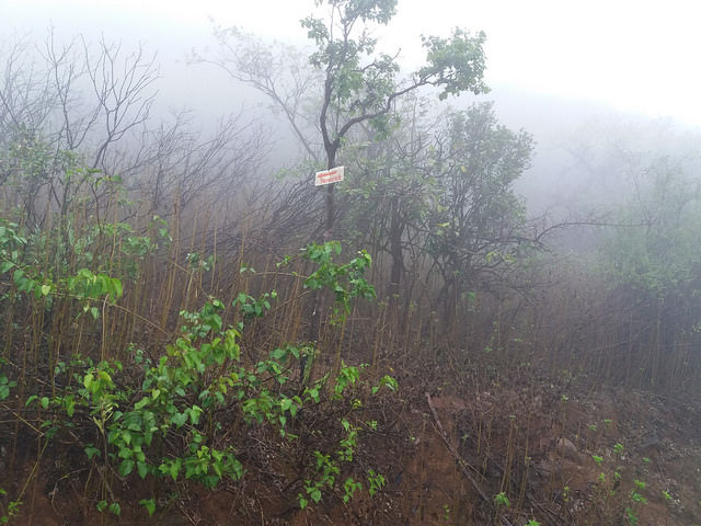 Photo of Morgiri - The lost Fort near Lonavala, Pune 6/10 by Gunjan Deshmukh