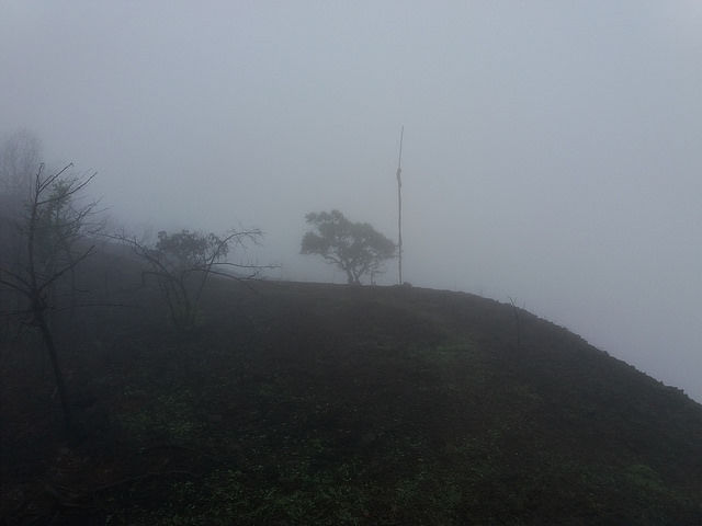 Photo of Morgiri - The lost Fort near Lonavala, Pune 9/10 by Gunjan Deshmukh