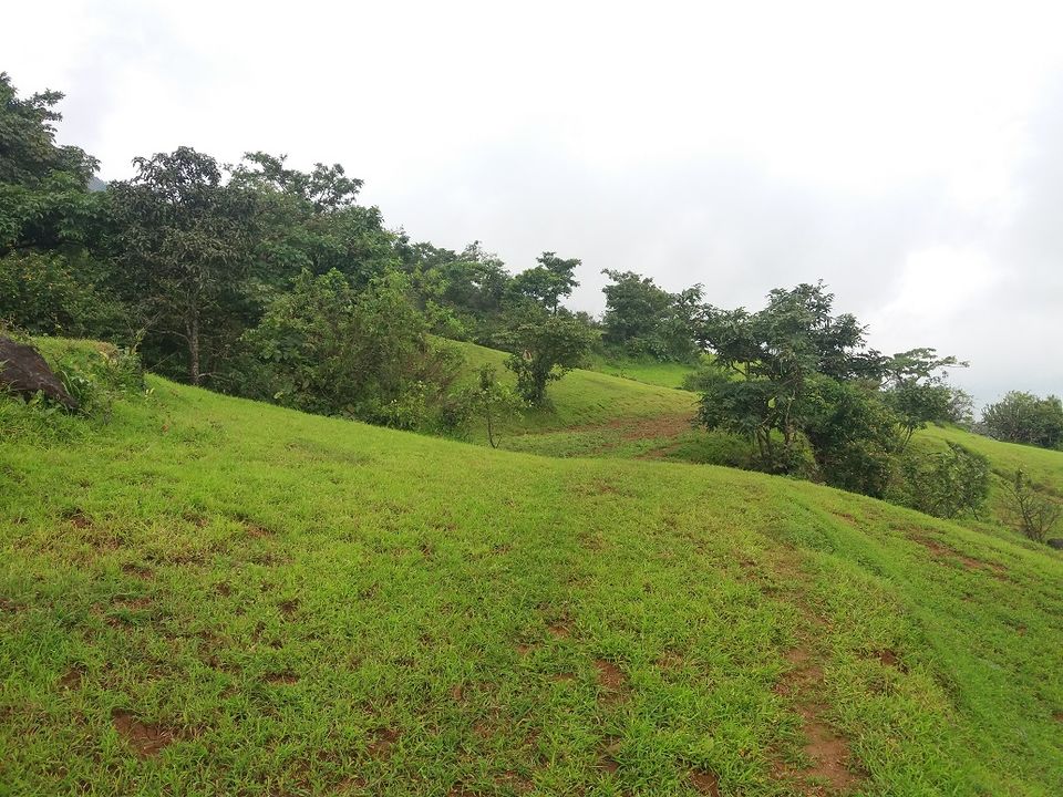 Photo of Sindola Fort – Overlooking beautiful dam 5/39 by Gunjan Deshmukh