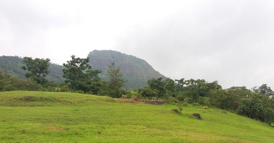 Photo of Sindola Fort – Overlooking beautiful dam 7/39 by Gunjan Deshmukh