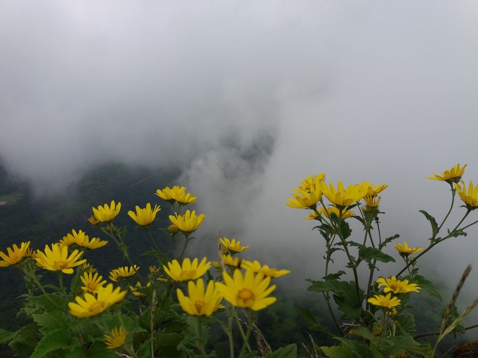 Photo of Sindola Fort – Overlooking beautiful dam 23/39 by Gunjan Deshmukh