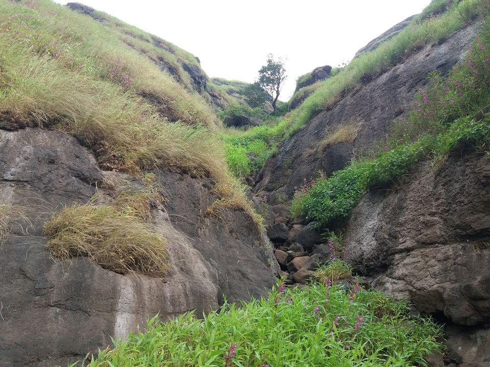 Photo of Sindola Fort – Overlooking beautiful dam 26/39 by Gunjan Deshmukh