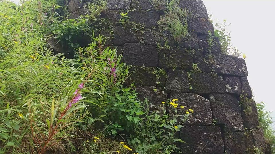 Photo of Sindola Fort – Overlooking beautiful dam 27/39 by Gunjan Deshmukh