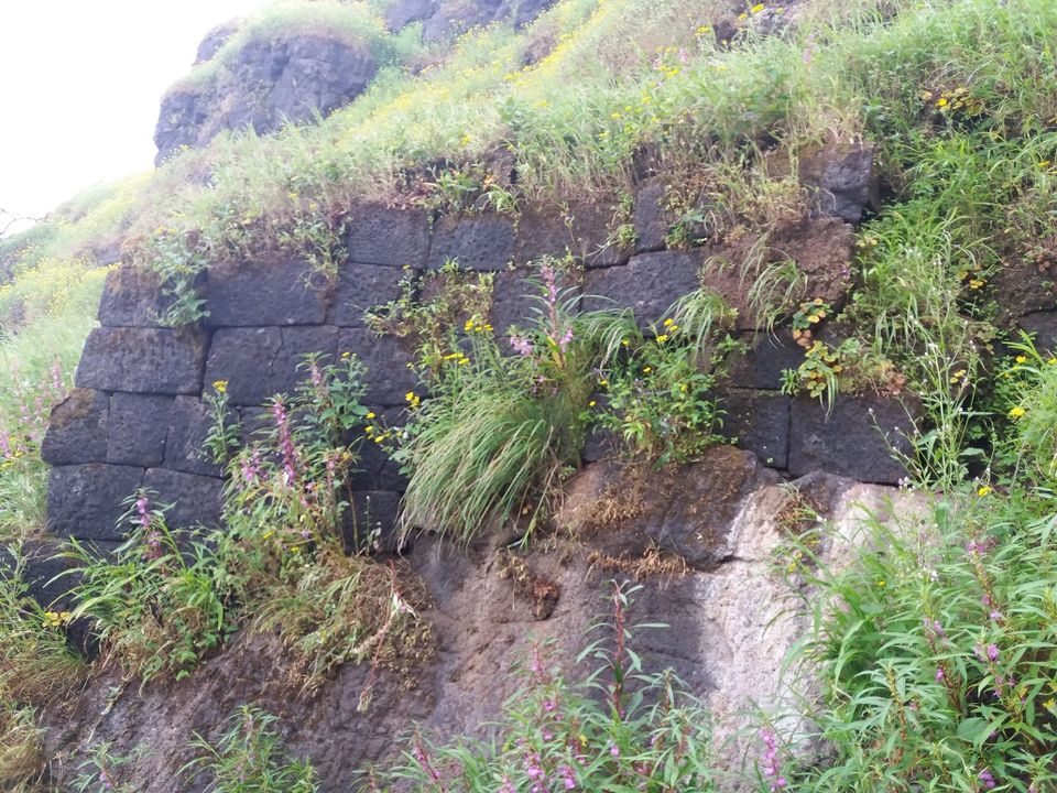 Photo of Sindola Fort – Overlooking beautiful dam 30/39 by Gunjan Deshmukh