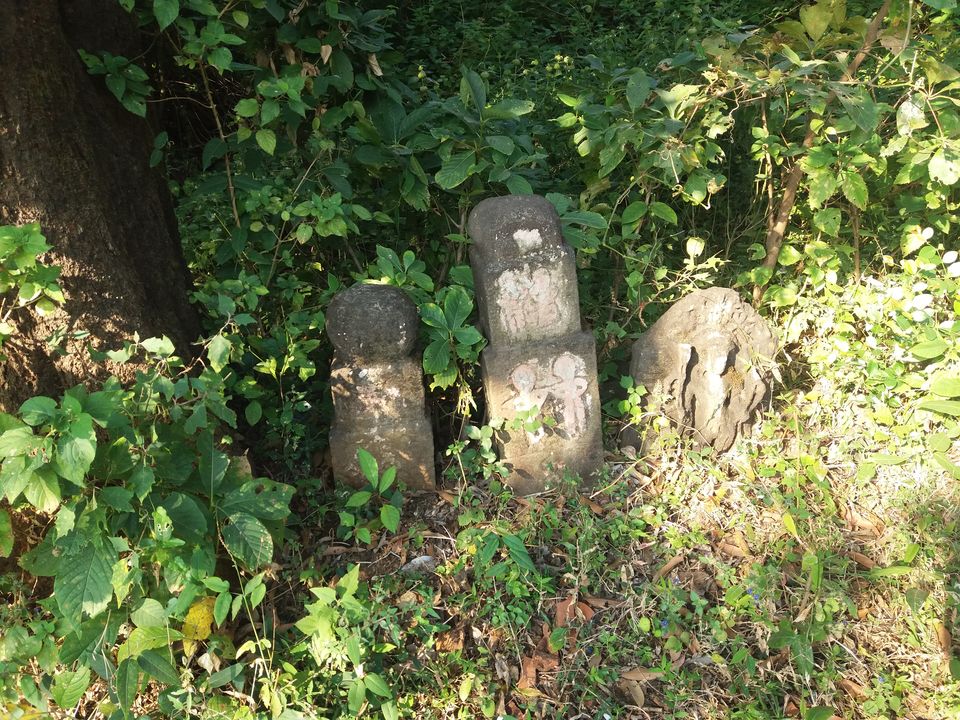 Photo of Nimgiri & Hanumantgad - Twin Forts 7/27 by Gunjan Deshmukh