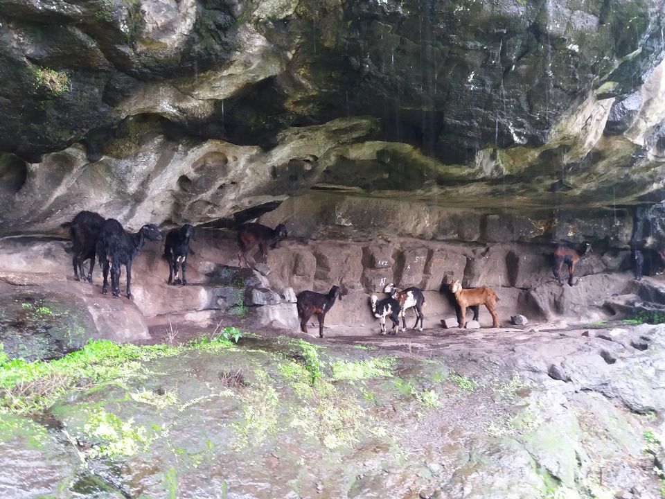Photo of Nimgiri & Hanumantgad - Twin Forts 11/27 by Gunjan Deshmukh