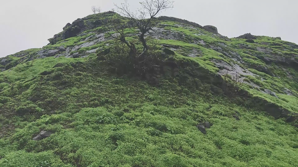 Photo of Nimgiri & Hanumantgad - Twin Forts 25/27 by Gunjan Deshmukh