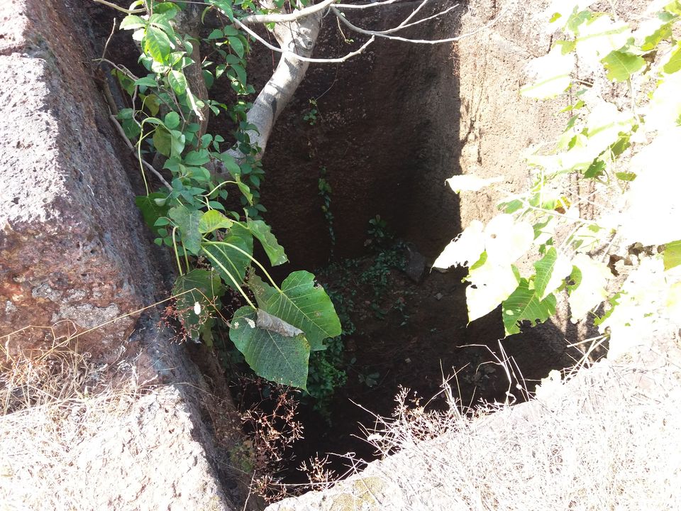 Photo of Jaigad - A Creek Fort 34/71 by Gunjan Deshmukh