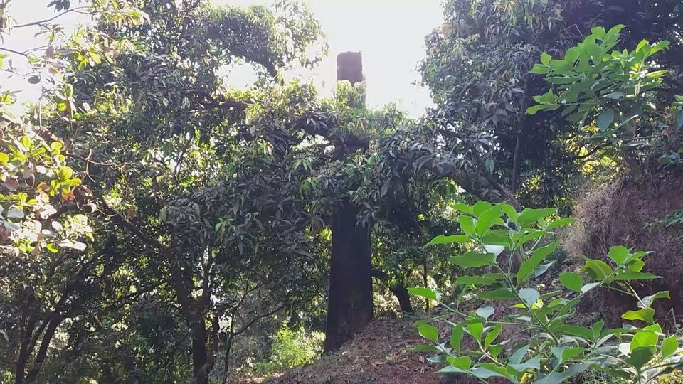 Photo of Jaigad - A Creek Fort 59/71 by Gunjan Deshmukh
