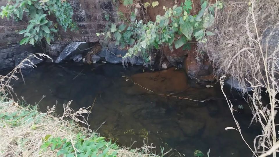Photo of Jaigad - A Creek Fort 66/71 by Gunjan Deshmukh