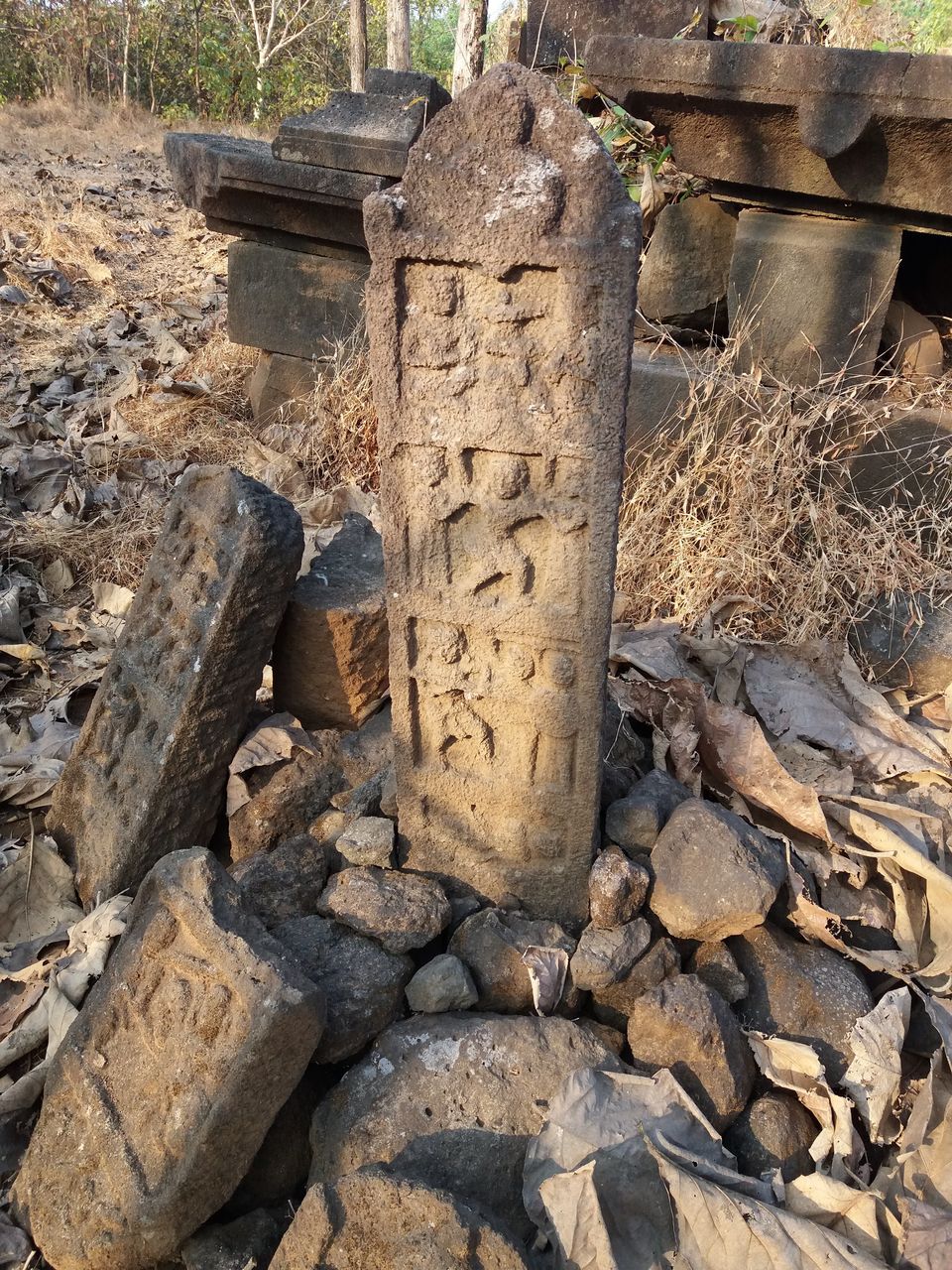 Photo of Mangad Fort - Has a Secret Gate 4/41 by Gunjan Deshmukh