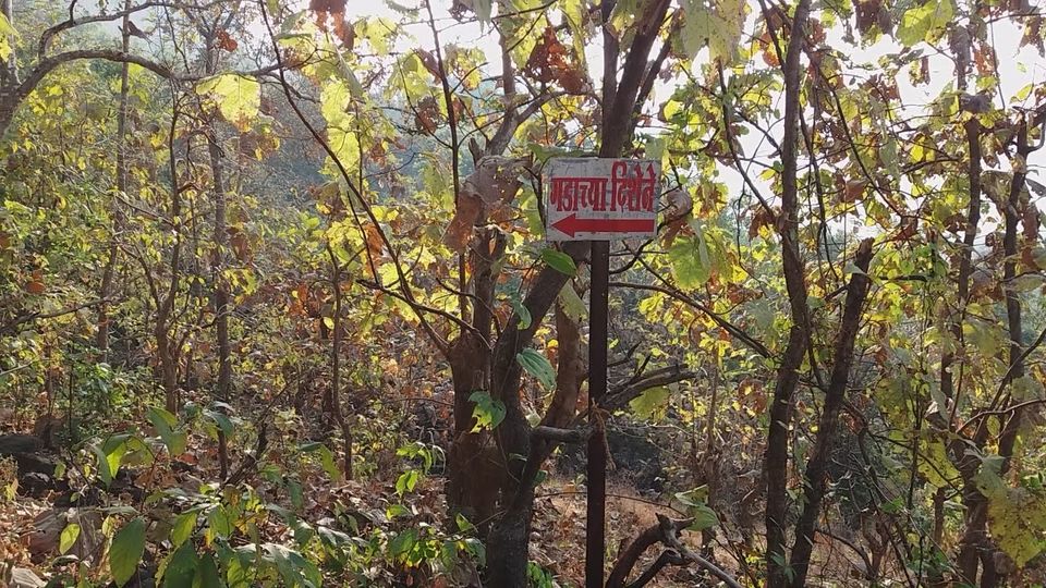 Photo of Mangad Fort - Has a Secret Gate 9/41 by Gunjan Deshmukh
