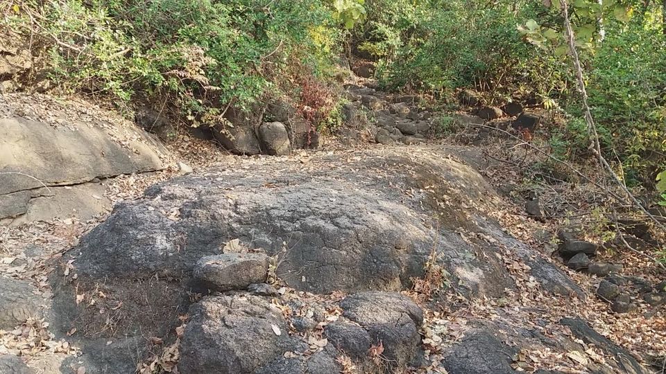 Photo of Mangad Fort - Has a Secret Gate 11/41 by Gunjan Deshmukh