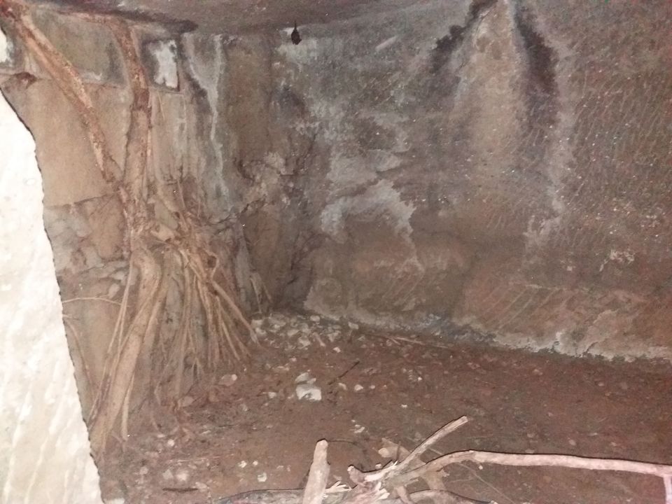 Photo of Mangad Fort - Has a Secret Gate 23/41 by Gunjan Deshmukh