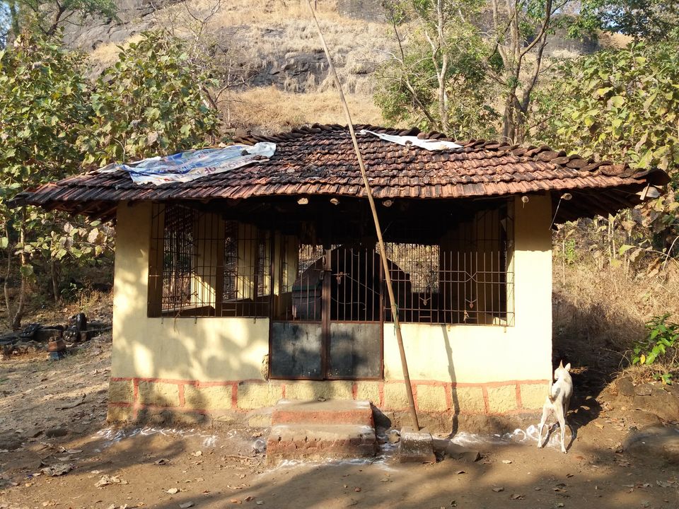 Photo of Mangad Fort - Has a Secret Gate 15/41 by Gunjan Deshmukh