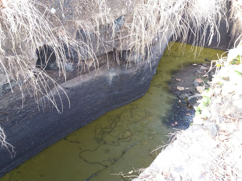 Photo of Mangad Fort - Has a Secret Gate 30/41 by Gunjan Deshmukh
